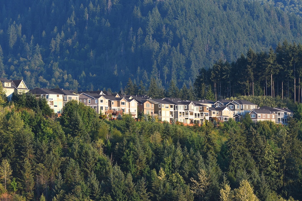 Issaquah view with the mountains.