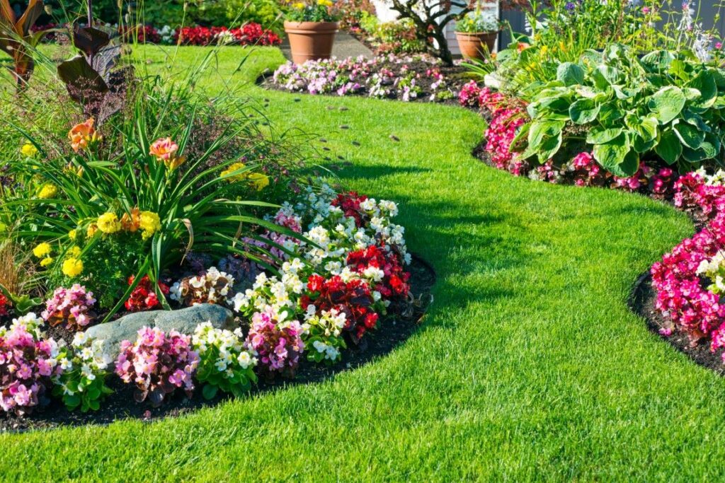 A photo of a landscape with many flowers.